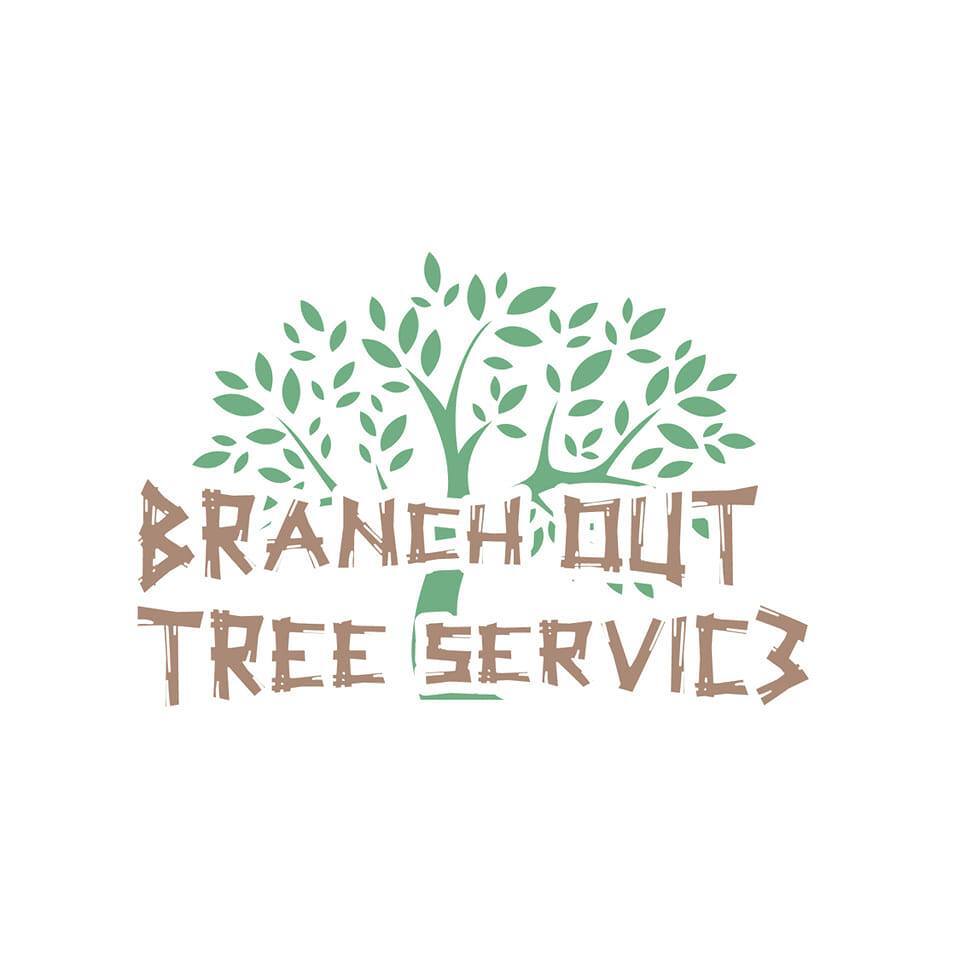 Branchout Logo